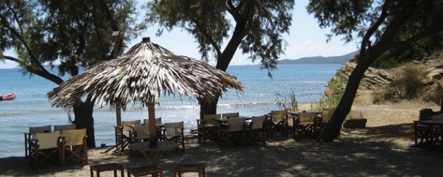 234126162_a510e670d4_z-0a481594f0