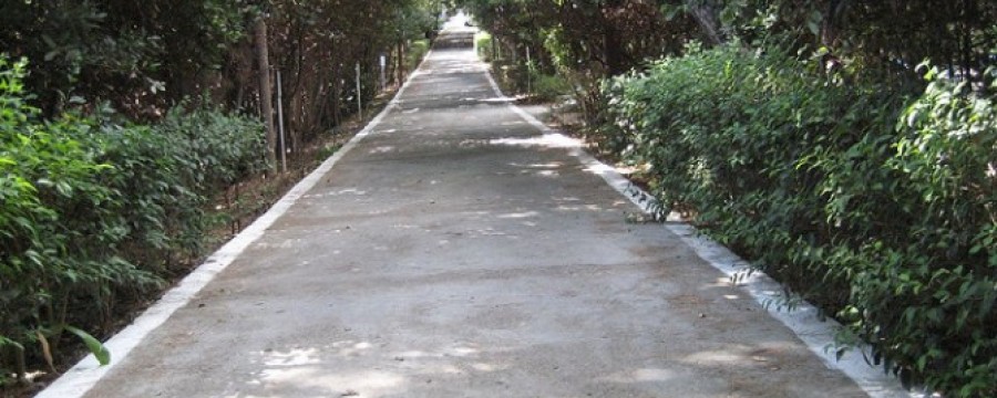 234131281_90cab67a51_z-6a6ca6a40c