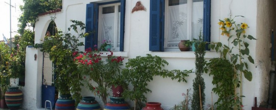 34276776_0c558dded4_b-08033b25ec